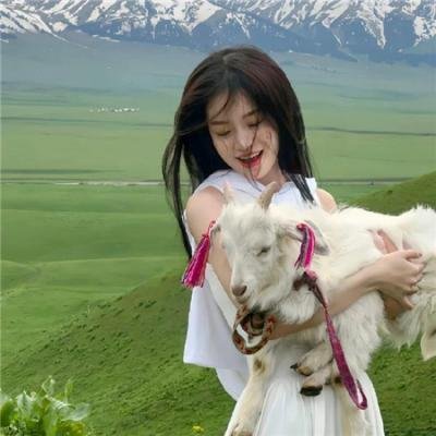 宝岛妖后